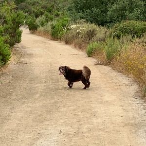 Meet your Posher, Aidan